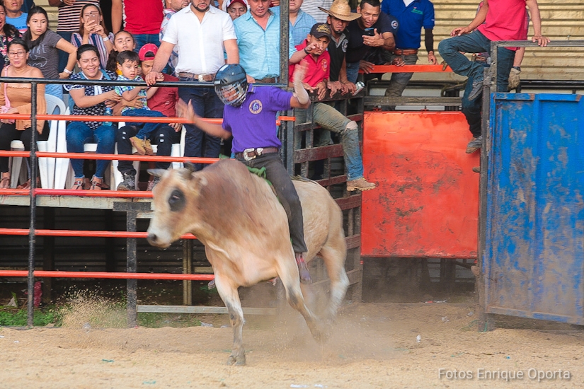 TOROS